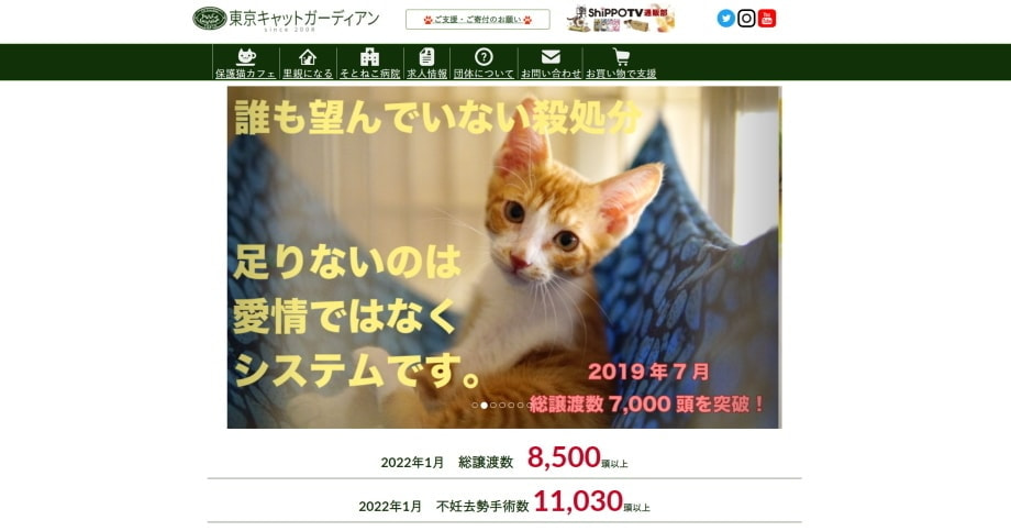 東京キャットガーディアン